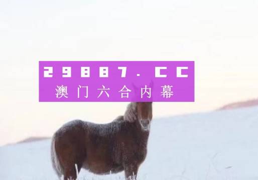 7777788888澳门王中王2024年,澳门王中王，探寻数字背后的故事与期待