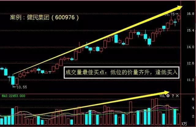 香港今晚开特马 开奖结果66期,香港今晚特马开奖结果揭晓，第66期的期待与惊喜