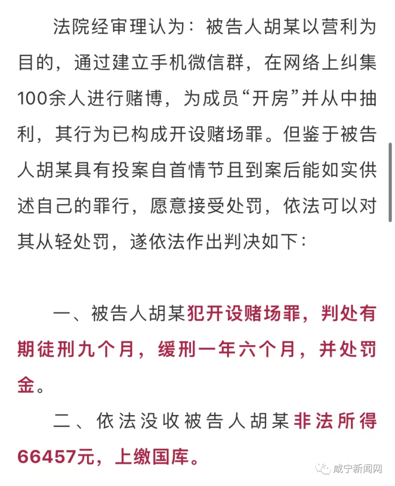 澳门正版资料彩霸王版,澳门正版资料彩霸王版，揭示背后的犯罪问题