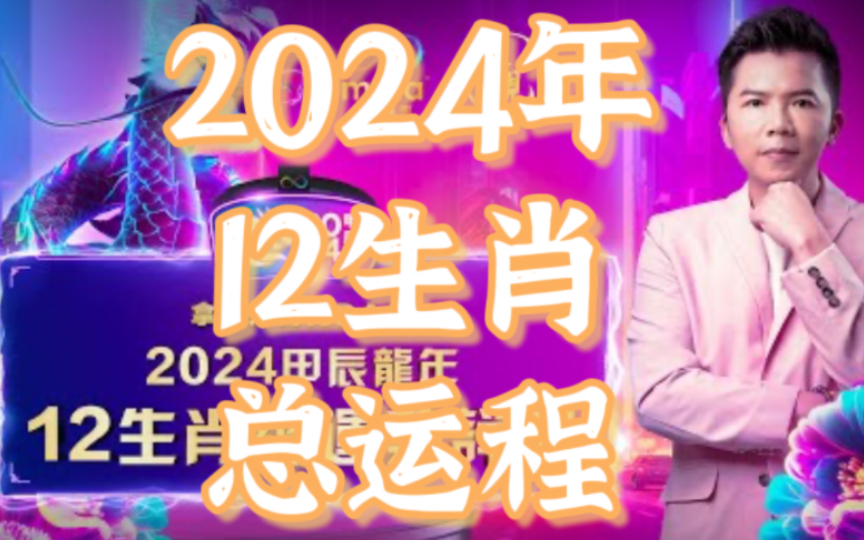 管家婆一码中一肖2024,管家婆的神秘预测，一码中定胜负，揭秘生肖运势走向2024