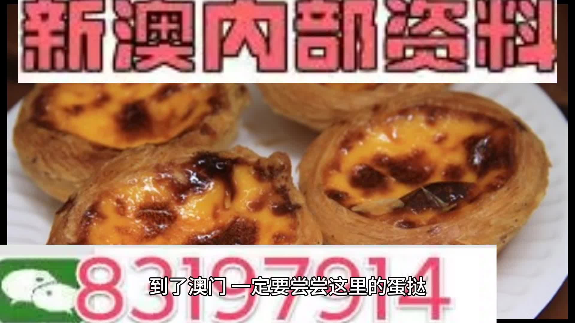 2024新澳精准资料大全,2024新澳精准资料大全概览