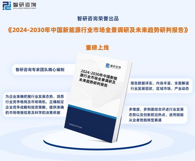 2024新奥正版资料免费提供,2024新奥正版资料免费提供的深度解析