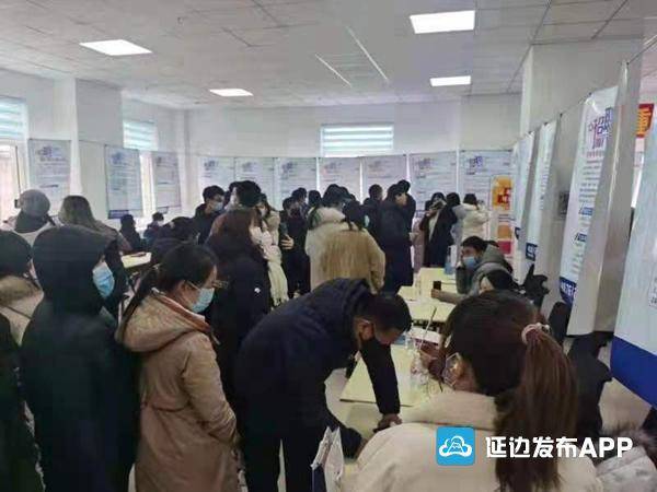 伊春招聘网最新招聘,伊春招聘网最新招聘动态深度解析