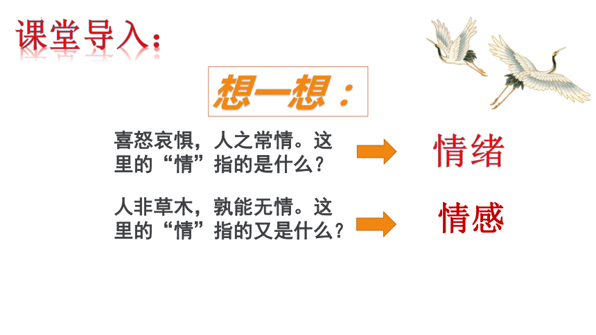 最新论理片,最新论理片，探索情感与道德的交织世界