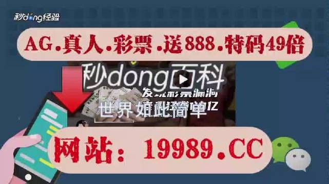 2024年澳门今晚开码料,澳门今晚开码料与犯罪预防的探讨