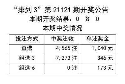 2024新澳开奖结果,揭秘2024新澳开奖结果，数据与策略分析