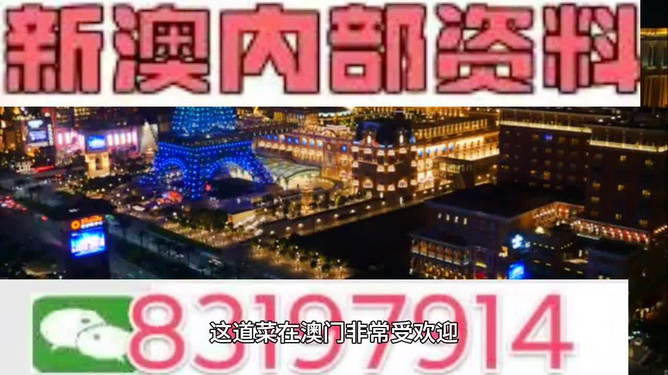 2024新澳最精准资料大全,关于2024新澳最精准资料大全的探讨与警示