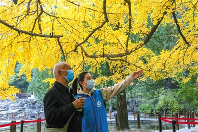 2024澳门天天开好彩大全53期,澳门彩票背后的故事，犯罪与法律边缘的探讨（第53期）