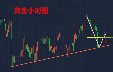 澳门今晚必开一肖一特,澳门今晚必开一肖一特，理性看待与警惕违法犯罪风险