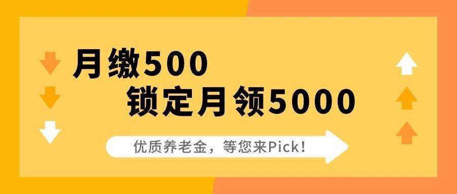 管家婆一肖一马一中一特,管家婆一肖一马一中一特，智慧与命运的交织