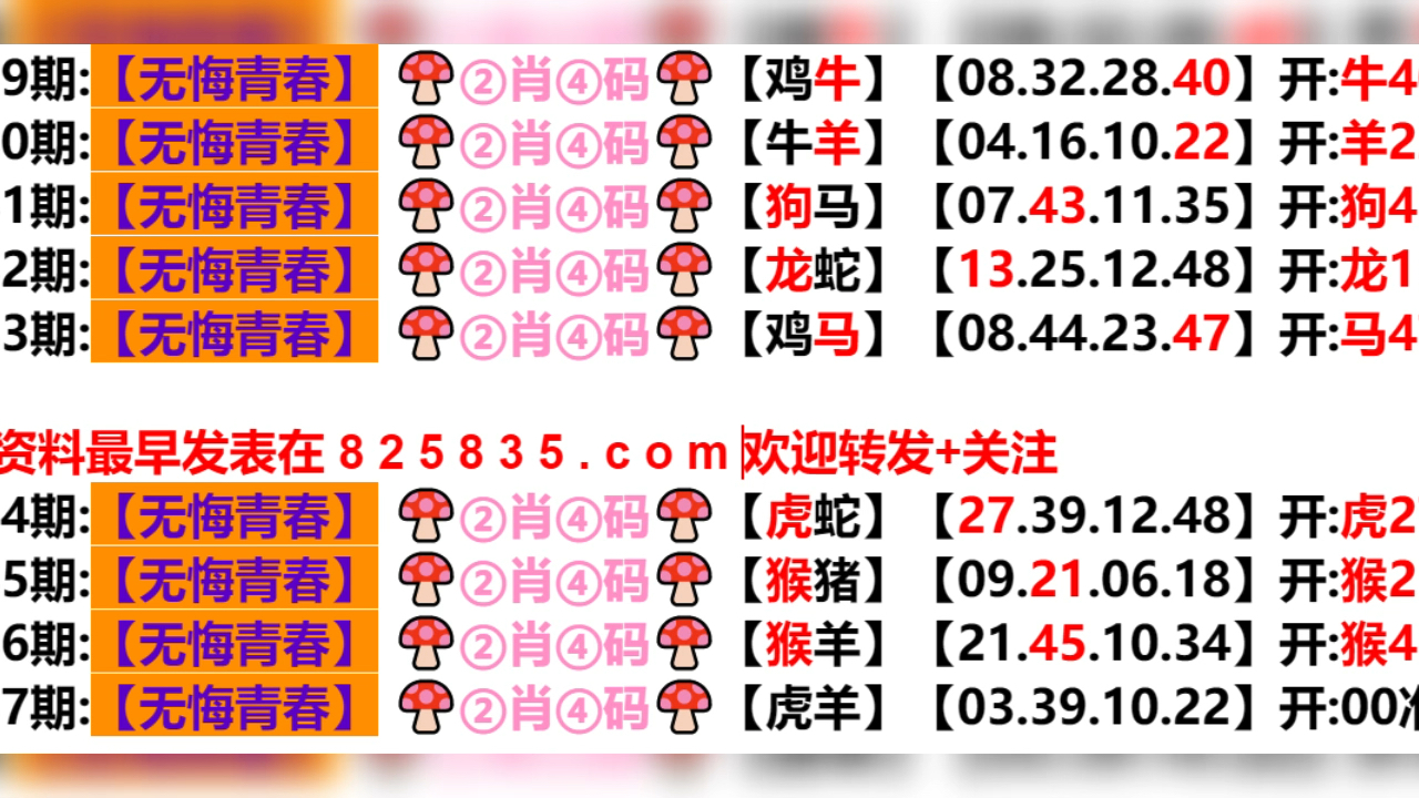 2024新澳门天天开好彩大全孔的五伏,新澳门天天开好彩背后的秘密与挑战——五伏之迷