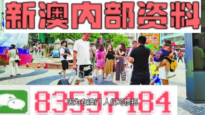 新澳2024正版免费资料,警惕网络陷阱，新澳2024正版免费资料的背后