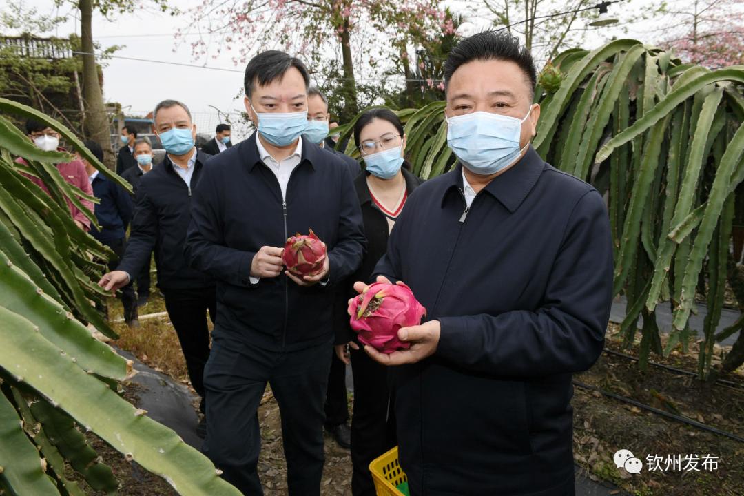 新澳精选资料免费提供,新澳精选资料免费提供，助力学习与发展的宝贵资源