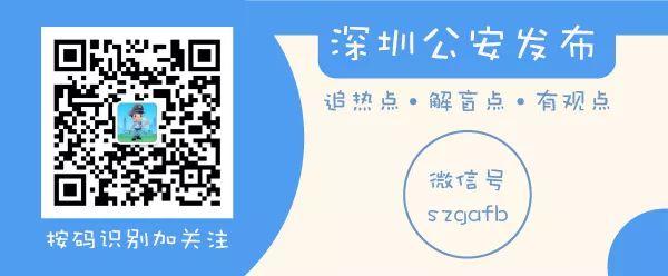 一肖一码一一肖一子深圳,一肖一码一一肖一子在深圳，揭开违法犯罪的面纱