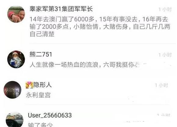 新澳门六2004开奖记录,警惕网络赌博风险，新澳门六2004开奖记录的背后真相