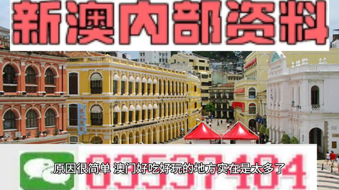 澳门最精准免费资料大全旅游团,澳门最精准免费资料大全与旅游团精选攻略