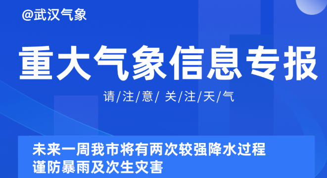 2024新奥精准正版资料,探索未来，揭秘2024新奥精准正版资料的价值与重要性