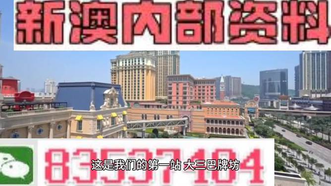 2024新奥精准正版资料,揭秘2024新奥精准正版资料，全方位解读与应用