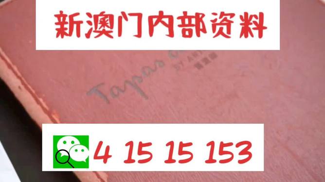 澳门内部最准资料澳门|定制释义解释落实,澳门内部最准资料与定制释义解释落实的探讨