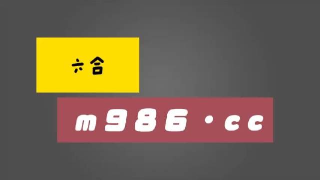 白小姐正版四肖八码|官方释义解释落实,白小姐正版四肖八码，官方释义解释与实际应用