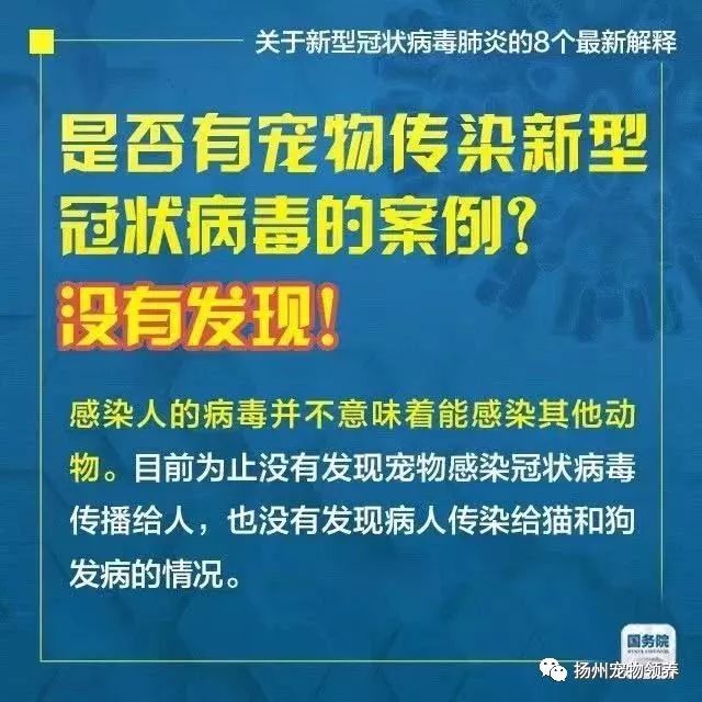 2024香港正版资料大全视频|权威释义解释落实,权威解读香港正版资料大全视频，落实与释义的重要性